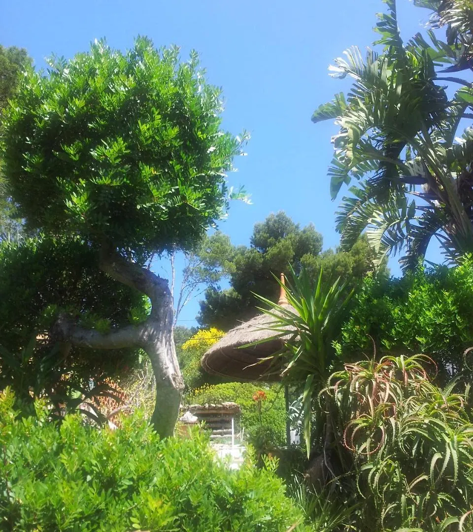 Finca Cactus Mhm Hotel Cala Ratjada  Holiday home