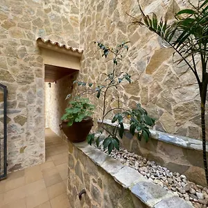 Gallu Cala Ratjada (Mallorca)