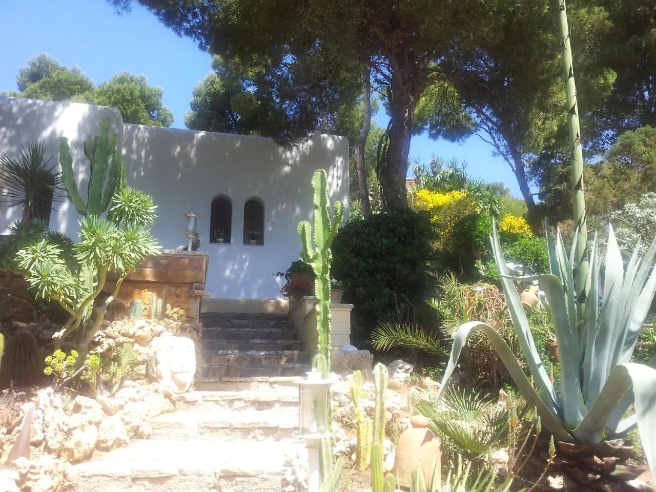 Finca Cactus Mhm Hotel Cala Ratjada  Spain